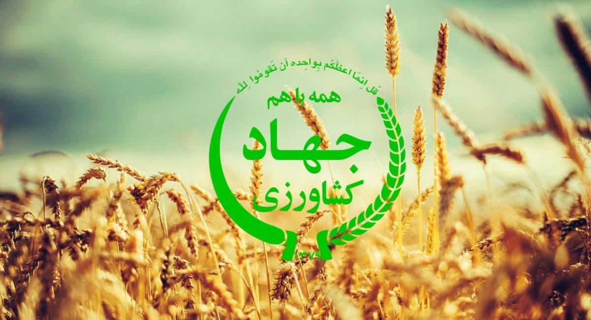سامانه آموزش مجازی سازمان آموزش، تحقیقات و ترویج کشاورزی بر پایه اسکای‌روم و فرآموز راه‌اندازی شد